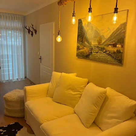 Zentrales Panorama-apartment Ueber Den Daechern Am Meranplatz - Terrasse Und Lage باد اوسي